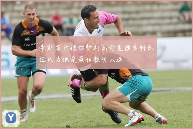 希斯菲尔德称赞科瓦奇重振多特队伍认为他是最佳教练人选