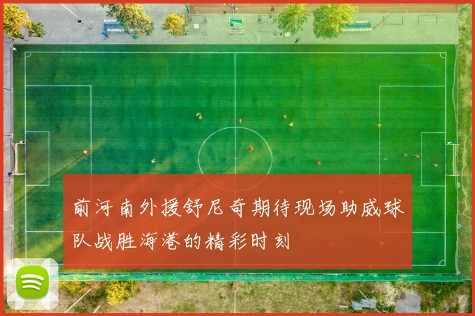 前河南外援舒尼奇期待现场助威球队战胜海港的精彩时刻